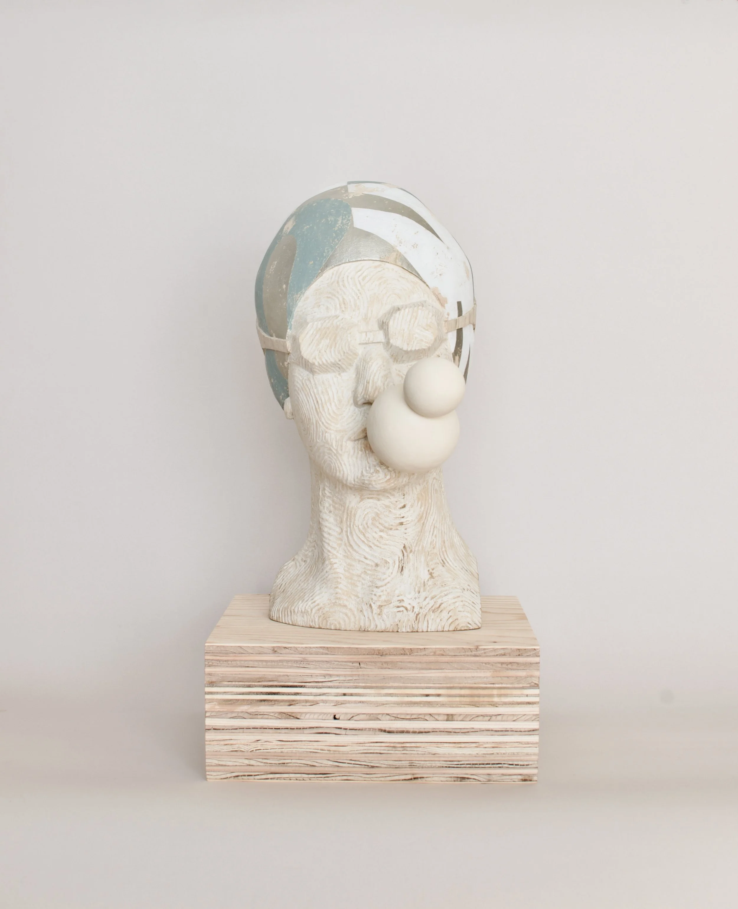 【未開封品】バラ illustration by TACCO Pleaser Rapture-808 in Clear – Pleaser Shoes